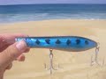 roosterfish surf fishing mexico 2007 part ii