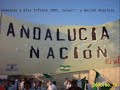 revandalus la verdiblanca