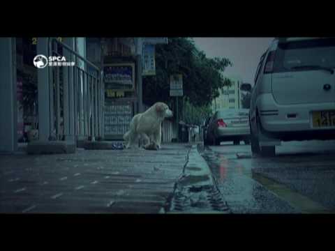 spca - Through the narration about the work of SPCA, it's to remind people for not abandoning or abusing animals.