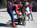 el gordo arania - el hombre araña argentino