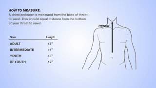 Chest Protector Sizing