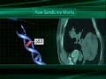 Cancer Alternative Treatment - Gene Therapy for Cancer a Report from Channel 4 News