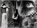 Nena Ivosevic - Pisi mi Nena Ivosevic - Pisi mi