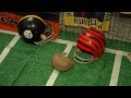 Zoo Armadillo Picks Bengals Win - Cincinnati Zoo