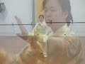 Tai Chi Fan. Ana Wu Master
