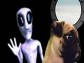 videos de Dog Rides in UFO Hovering Near San Francisco!