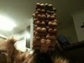 Can your dog do this ?