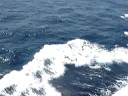 Emerald Cruise Ship at Sea