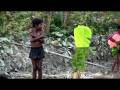 Cyclone Sidr Disaster - The Hard Lessons of Aid Work