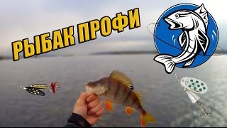 ловля трофейного окуня на спиннинг ловля трофейного окуня на спиннинг