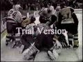 McSorley slashes Brashear