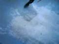 videos de magrãosk8/puga skateboards