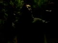 V�deo007.3gp