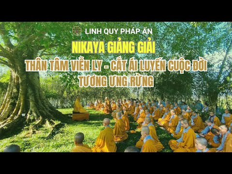 NIKAYA Giảng Giải - Thân Tâm Viễn Ly - Cắt Ái Luyến Cuộc Đời - Tương Ưng Rừng