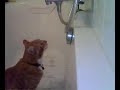 Fred in the Bathtub