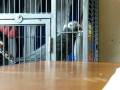 videos de larry bird