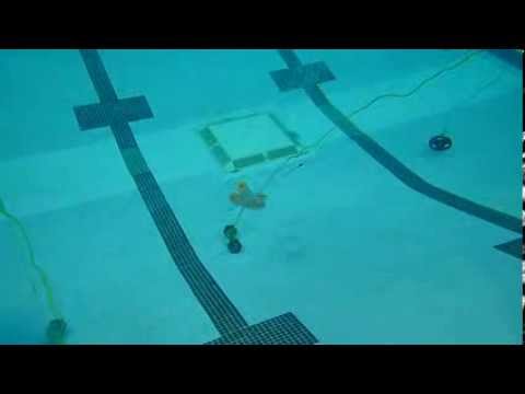 how to practice bowfishing