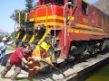 Un pasajero en el camino: Picaflor de los Andes