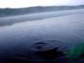 Carp Fishing Sweden - Härlanda Tjärn 7-11th May 08 Part 6