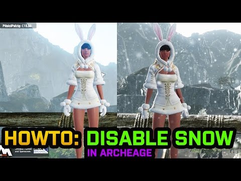 how to turn snow off in archeage
