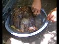nag-parti kami ti manok