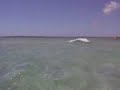 Il mare di Formentera Il mare di Formentera