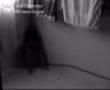 ghost lying