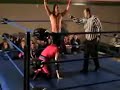 Comox show