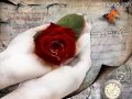 clip video grazy horse alain de lorme une fleur rien qu'une rose bon aprèm votre amie chaton
