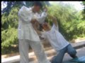 Taijiquan stile chen - Maestro Xue-Bin Taijiquan stile chen - Maestro Xue-Bin