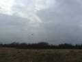videos de Kyosho Clipped wing cup.wmv