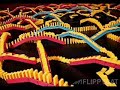 Please rate this, and if you see a hidden image in the pattern at the end leave a comment telling me what you see? Bridges Used: 65 Dominos Used: Unknown Breaks in Fall: One. While trying to squeeze in bridges at the end, I put them too close together, and hence the title 