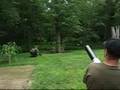 The Best of the Blasts, Extended Version
