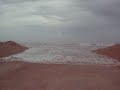 hurricane dolly south padre island tx