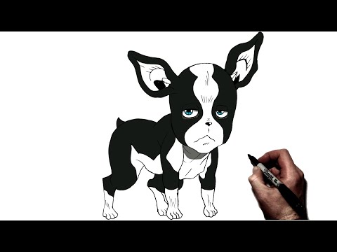 video-linktoworks-How To Draw Iggy | Step By Step | Jojo's Bizarre...