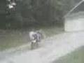 Jays wheelie