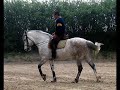 moi-au-salon-du-cheval.html