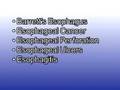 Gastroesophageal Reflux Disease (GERD)