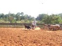 West Collors Day TMR - Treino II