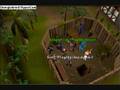 Boeie3-gets-99-agili