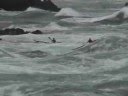 Caminopaddle blues rider (include stand up paddle surfing)