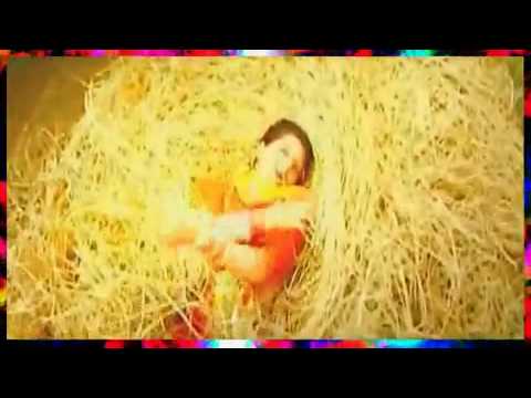 Rang Diya Dil - DuLha MiL Gaya