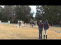 videos de Grier Jumping Bear Day 1