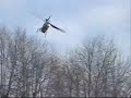 Fast Forward Flight, Honey Bee FP