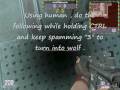 Wolfteam Paien Lab Glitch Tutorial