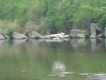 NEMOの水上機動画です近くの河原で飛ばしました
