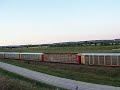CP 185 auto train with 7 units near Kellogg, MN