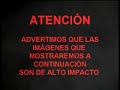 chupacabras rubio
