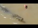 Crocs in the Territory