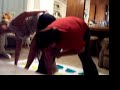 twister